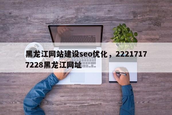 黑龙江网站建设seo优化，22217177228黑龙江网址