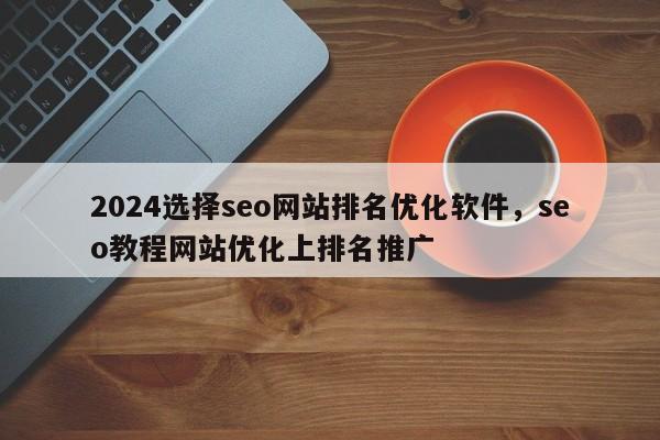 2024选择seo网站排名优化软件，seo教程网站优化上排名推广