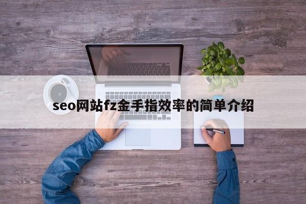 seo网站fz金手指效率的简单介绍