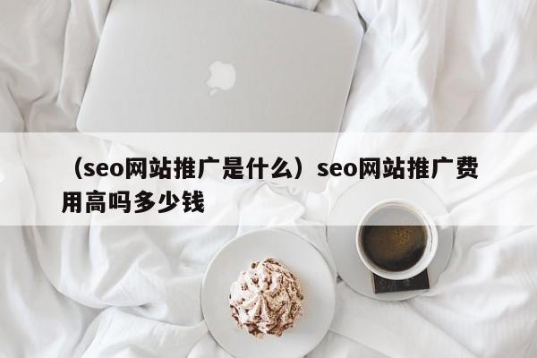 （seo网站推广是什么）seo网站推广费用高吗多少钱