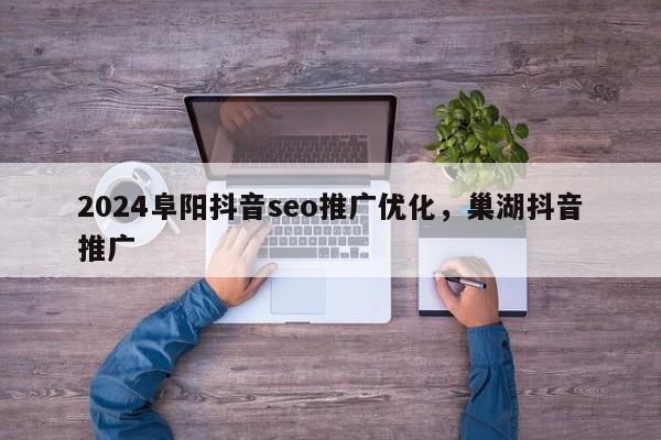 2024阜阳抖音seo推广优化，巢湖抖音推广