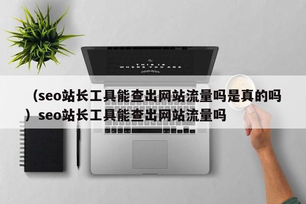 （seo站长工具能查出网站流量吗是真的吗）seo站长工具能查出网站流量吗