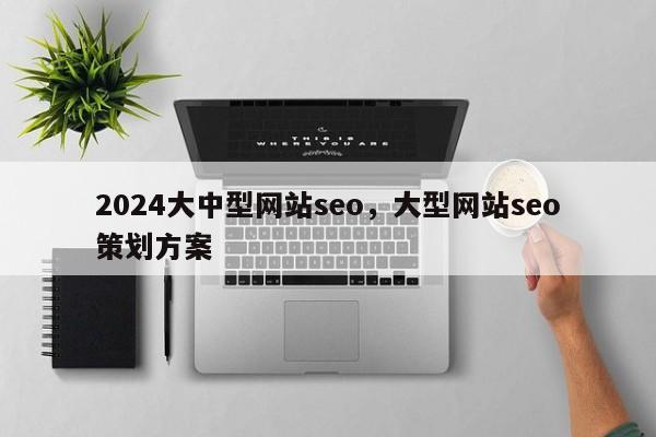 2024大中型网站seo，大型网站seo策划方案