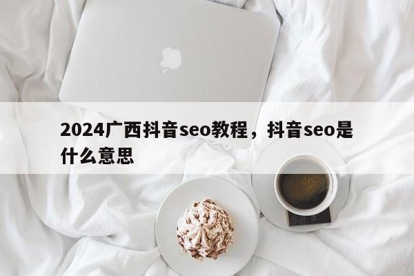 2024广西抖音seo教程，抖音seo是什么意思