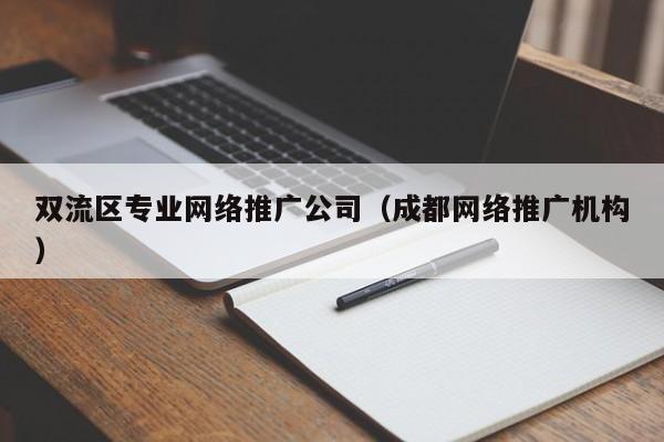 双流区专业网络推广公司（成都网络推广机构）