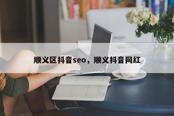 顺义区抖音seo，顺义抖音网红