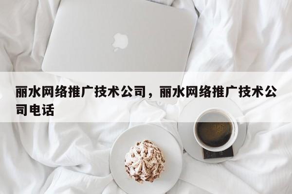 丽水网络推广技术公司，丽水网络推广技术公司电话