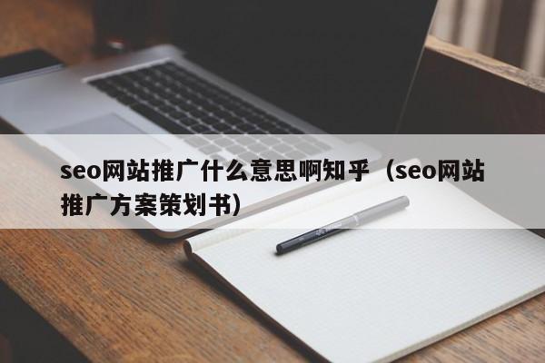 seo网站推广什么意思啊知乎（seo网站推广方案策划书）