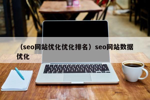 （seo网站优化优化排名）seo网站数据优化