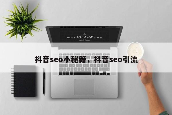 抖音seo小秘籍，抖音seo引流