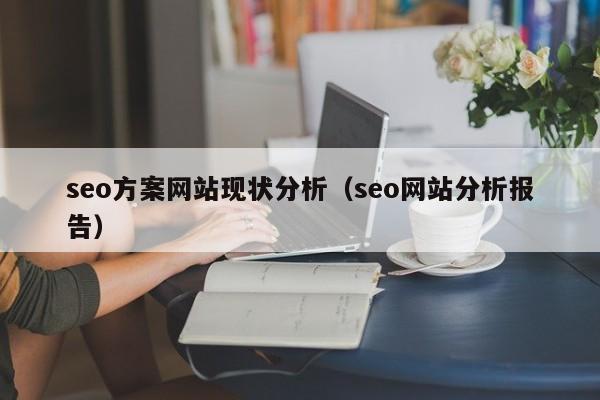 seo方案网站现状分析（seo网站分析报告）