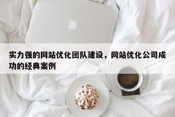 实力强的网站优化团队建设，网站优化公司成功的经典案例