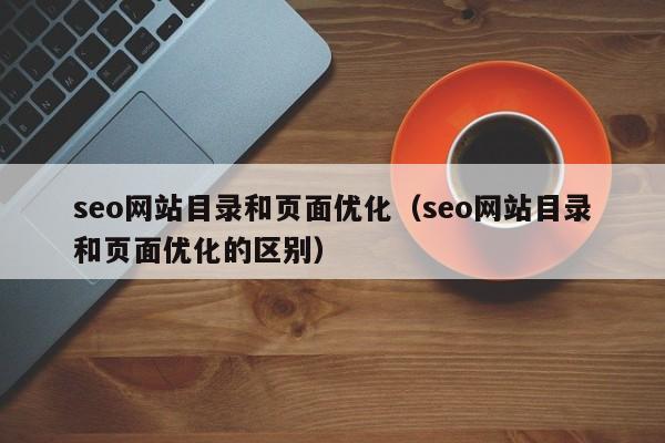 seo网站目录和页面优化（seo网站目录和页面优化的区别）