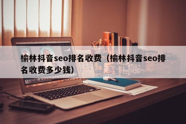 榆林抖音seo排名收费（榆林抖音seo排名收费多少钱）