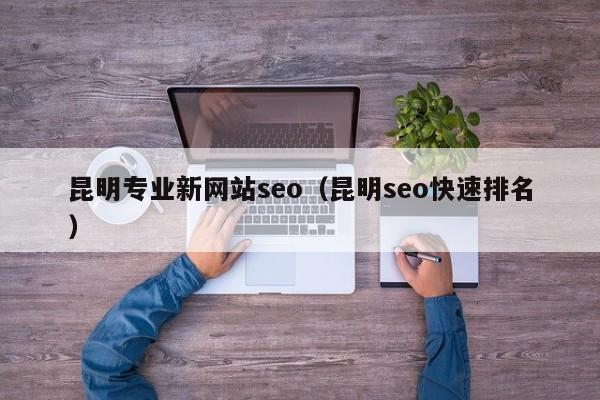 昆明专业新网站seo（昆明seo快速排名）