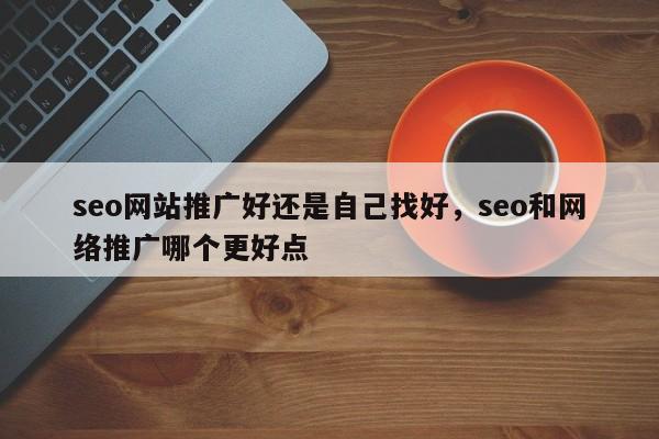 seo网站推广好还是自己找好，seo和网络推广哪个更好点