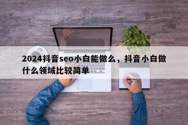 2024抖音seo小白能做么，抖音小白做什么领域比较简单