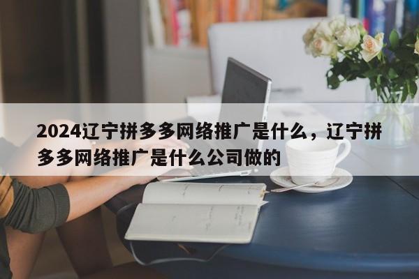 2024辽宁拼多多网络推广是什么，辽宁拼多多网络推广是什么公司做的