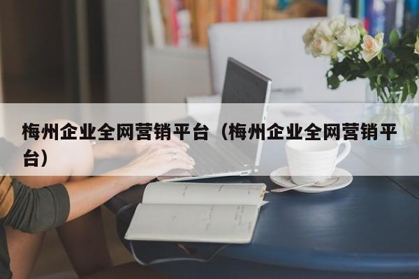 梅州企业全网营销平台（梅州企业全网营销平台）