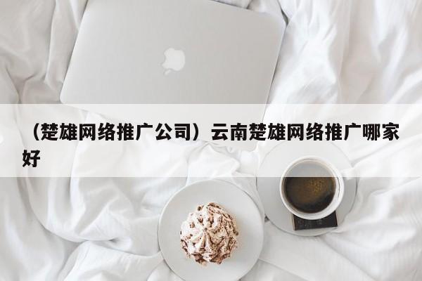 （楚雄网络推广公司）云南楚雄网络推广哪家好