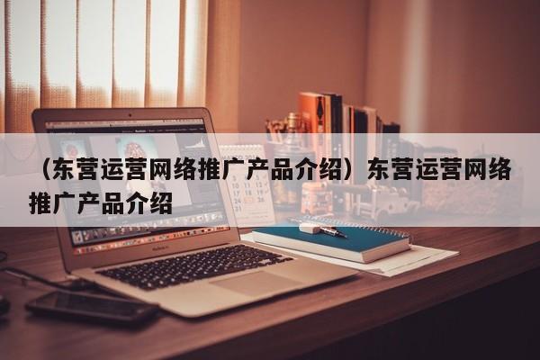 （东营运营网络推广产品介绍）东营运营网络推广产品介绍