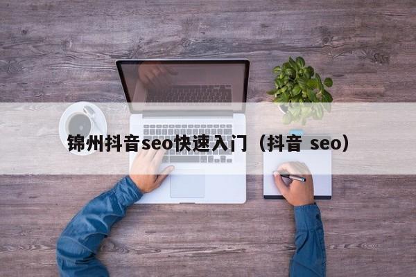 锦州抖音seo快速入门（抖音 seo）