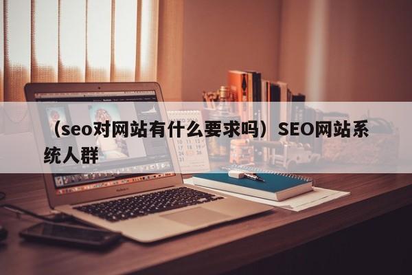 （seo对网站有什么要求吗）SEO网站系统人群