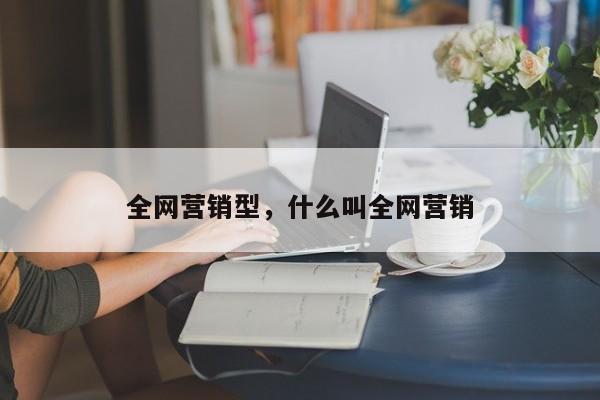 全网营销型，什么叫全网营销