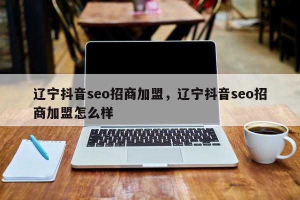 辽宁抖音seo招商加盟，辽宁抖音seo招商加盟怎么样