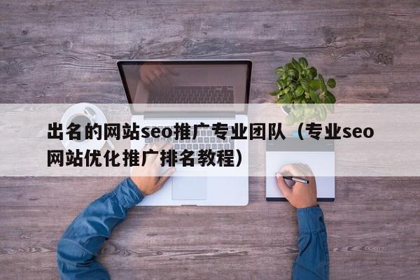 出名的网站seo推广专业团队（专业seo网站优化推广排名教程）