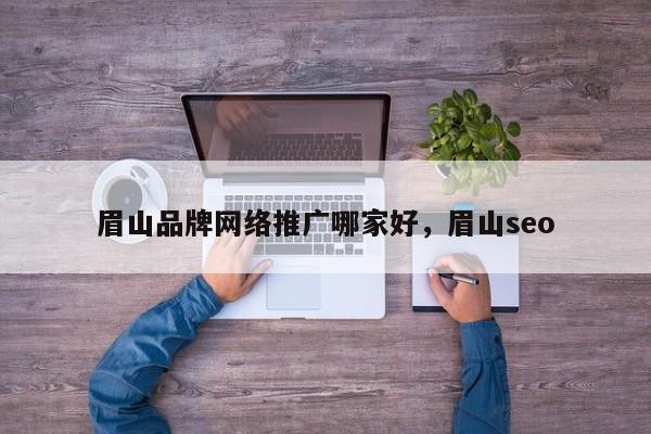 眉山品牌网络推广哪家好，眉山seo