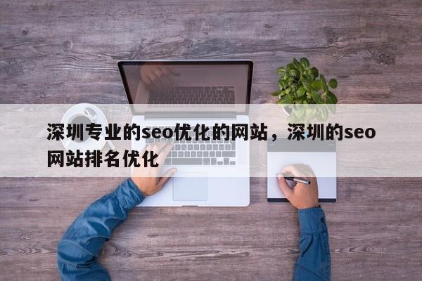 深圳专业的seo优化的网站，深圳的seo网站排名优化