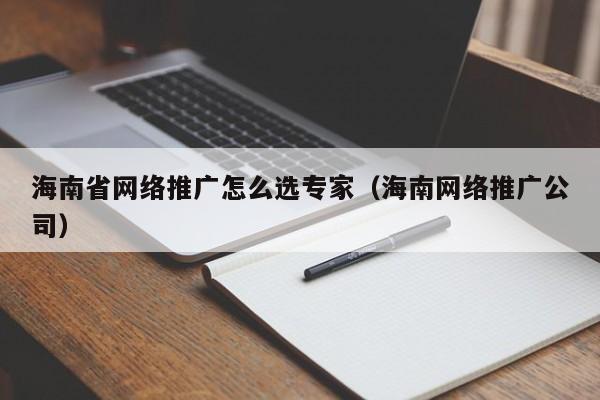 海南省网络推广怎么选专家（海南网络推广公司）