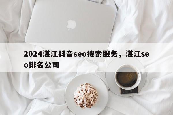 2024湛江抖音seo搜索服务，湛江seo排名公司