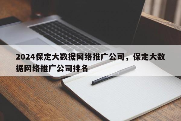 2024保定大数据网络推广公司，保定大数据网络推广公司排名