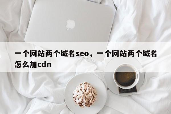 一个网站两个域名seo，一个网站两个域名怎么加cdn