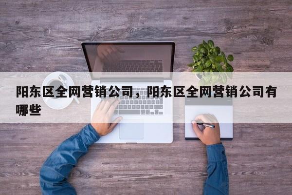 阳东区全网营销公司，阳东区全网营销公司有哪些