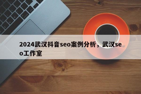 2024武汉抖音seo案例分析，武汉seo工作室