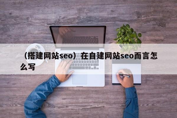 （搭建网站seo）在自建网站seo而言怎么写