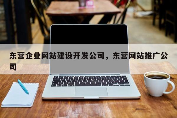 东营企业网站建设开发公司，东营网站推广公司