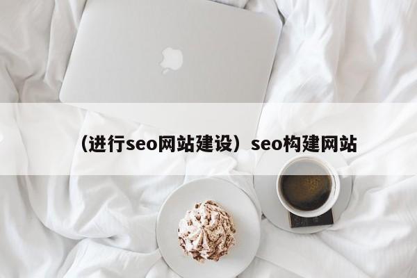 （进行seo网站建设）seo构建网站