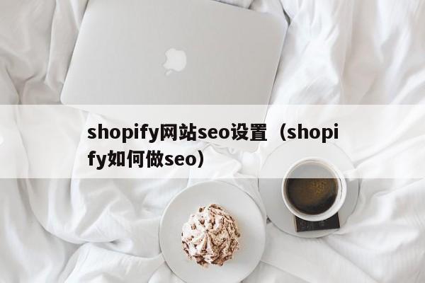 shopify网站seo设置（shopify如何做seo）