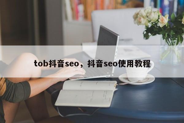 tob抖音seo，抖音seo使用教程