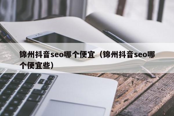 锦州抖音seo哪个便宜（锦州抖音seo哪个便宜些）