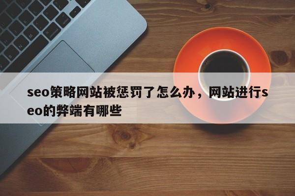 seo策略网站被惩罚了怎么办，网站进行seo的弊端有哪些