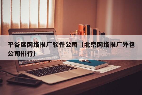 平谷区网络推广软件公司（北京网络推广外包公司排行）