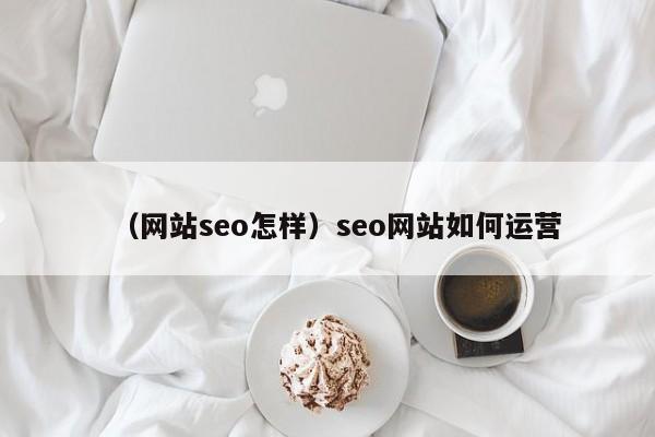 （网站seo怎样）seo网站如何运营